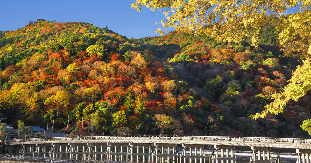 ondo　京東都　清水寺　伏見稲荷　ストール　京都　kyoto ondo 京東都 清水寺 伏見稲荷 ストール 京都 kyoto ondo 京東都